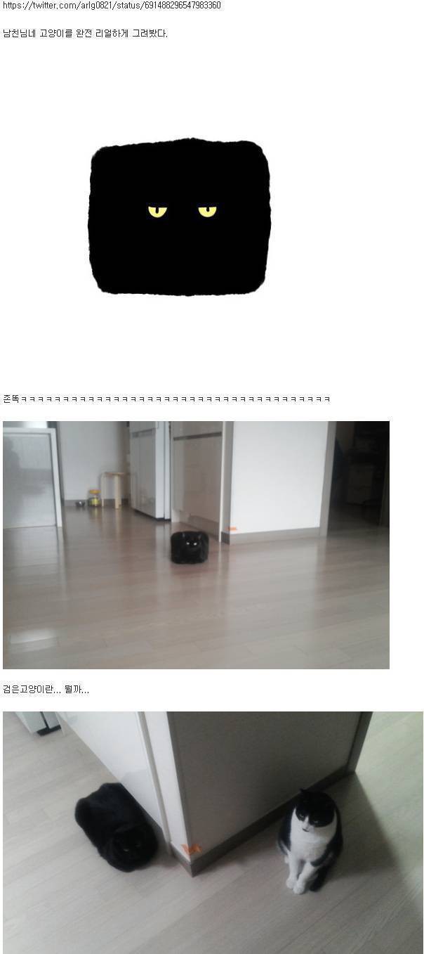 14659852435f37d92ec5eb46f6b411b58e52f95ecb__mn286375__w604__h1357__f53377__Ym201606.jpg