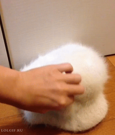 b90e8897408efbf0e06928503a4fc696_PH3fpkfjKtca9VpdZTym.gif