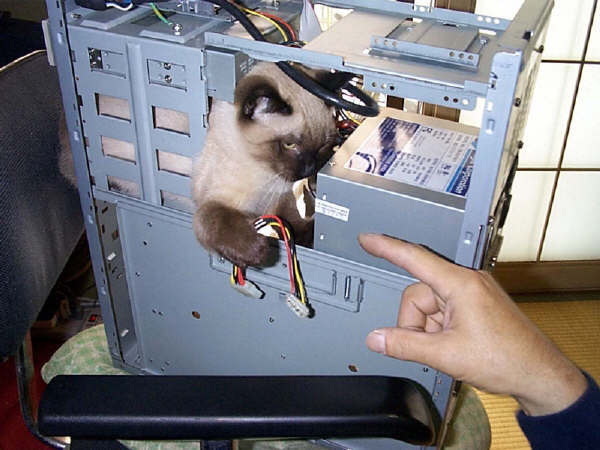 컴퓨터광.jpg