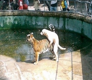 개념상실.jpg