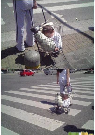 엽기사진3.jpg