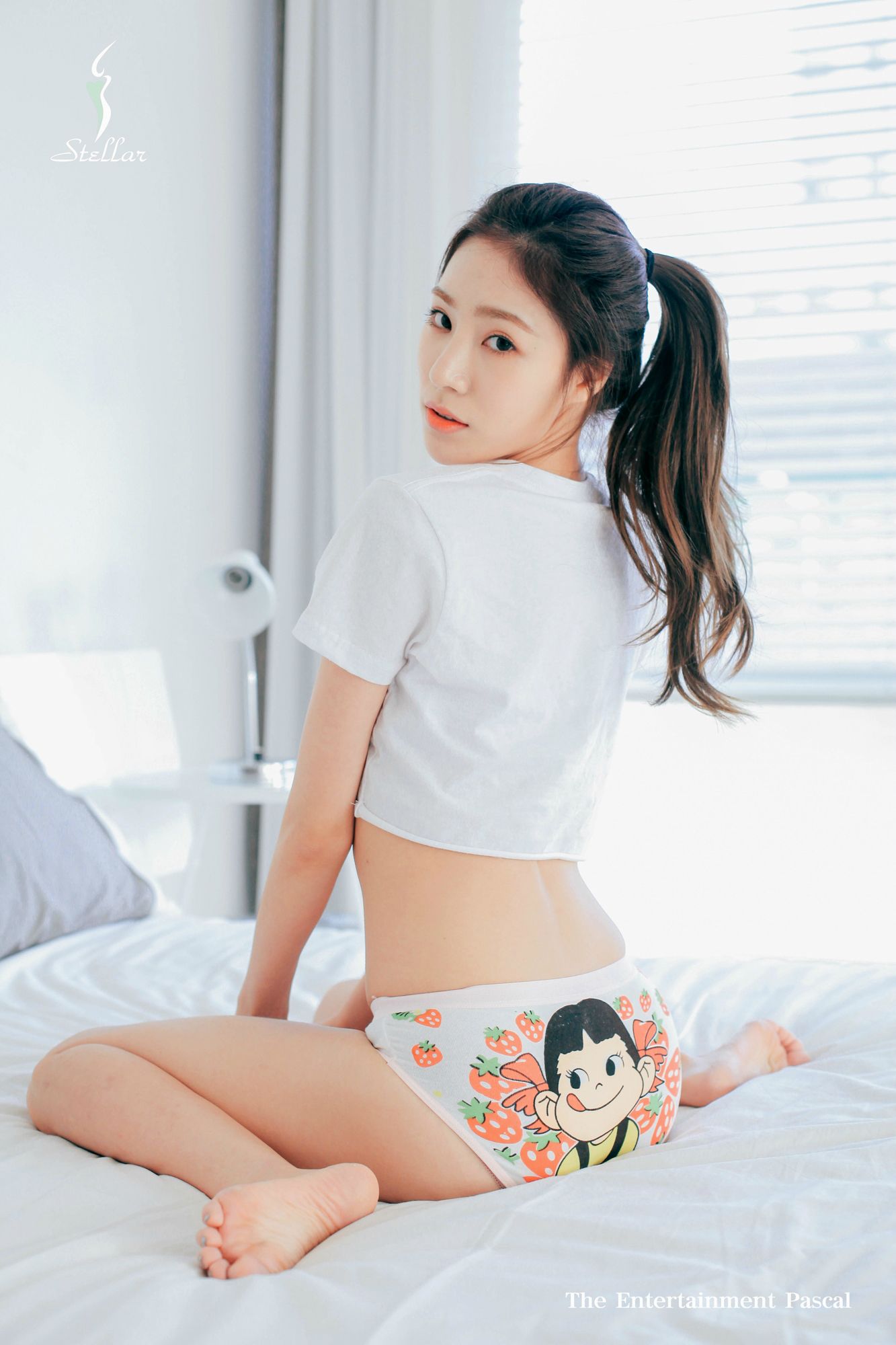 스텔라전율로타 (3).jpg