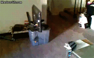 개피곤.gif