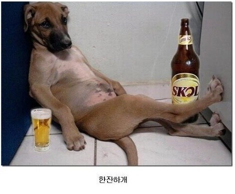 naver_com_20111019_102903.jpg