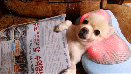 55b59a01f91a8c244661367aacc408d7.gif