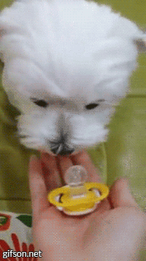 0238d3d75bff5e3cc3ffba101d6c829e.gif