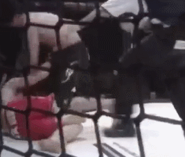 a9178f0ad532bdd0678d501cba6df926.gif