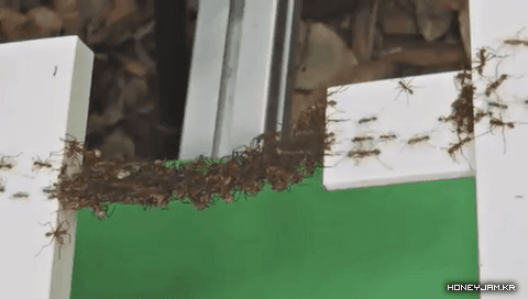 b924559258c036faff10fb7cb47fb4d7.gif