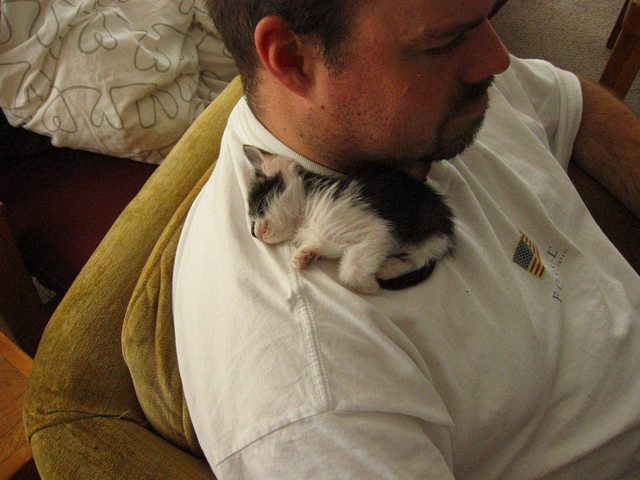 2580147329_8Wy1fBzm_image.jpeg