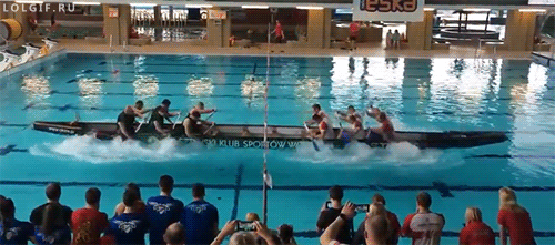 50868c3c7a210a298eff87e31b965e8f_1469856325_8956.gif