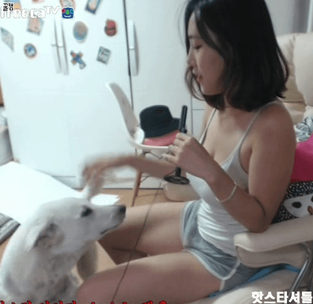 6.gif