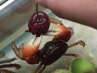 i11845534169 (1).gif