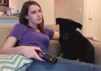 1470197313_G0xySr2qkl.gif