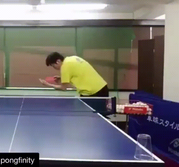 321.gif