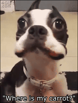 b8d05d991d740d4bd5e168391db578b7_OA791PeIwbWE8YfQt3jL.gif