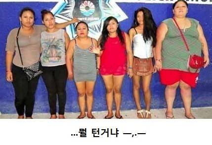 털이.jpg