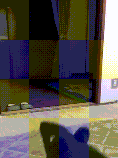 물어와.gif