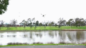 박씨 달라니까 뱀씨를 주고있어.gif