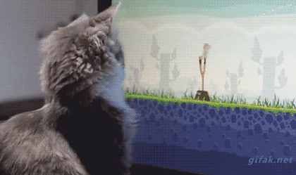 i13587902101.gif