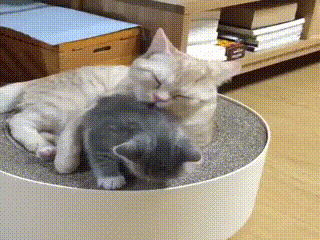 엄마 그만해 다들 쳐다보잖아.gif