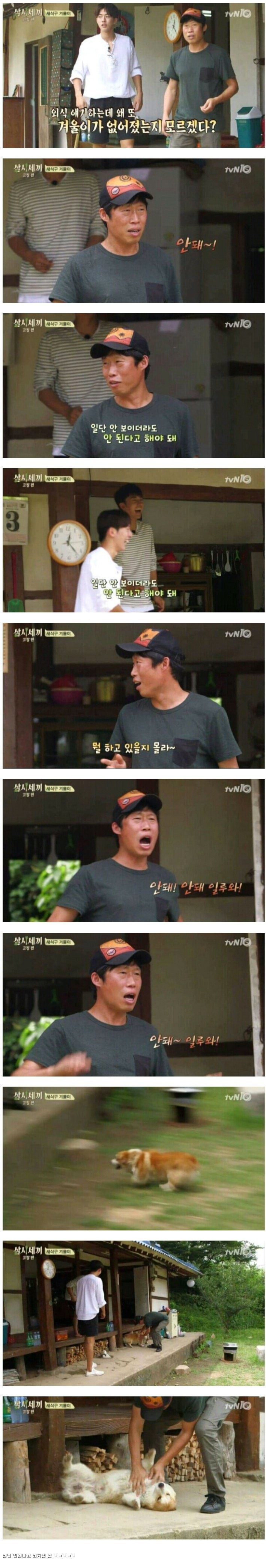 집나간 멍멍이 찾는법.jpg
