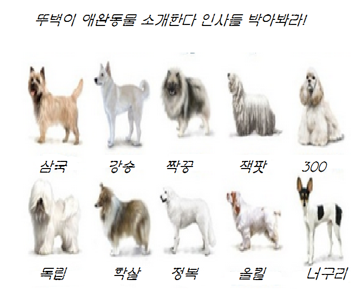 캡처.PNG