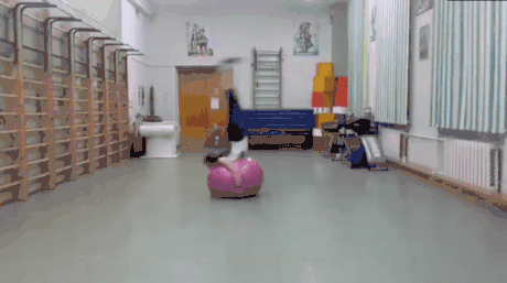 짐볼 운동 심화과정.gif