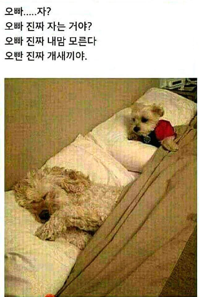 오빠... 자...jpg