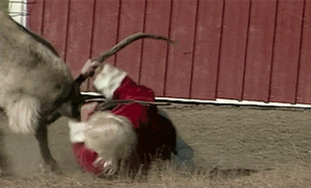 d이맘때.gif