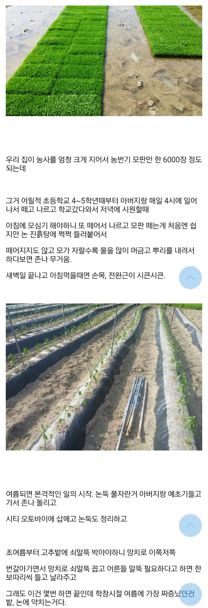 20살인데 어릴때부터 농사일 많이한거 후회했는데 단점만 있는건 아니더라 2.jpg