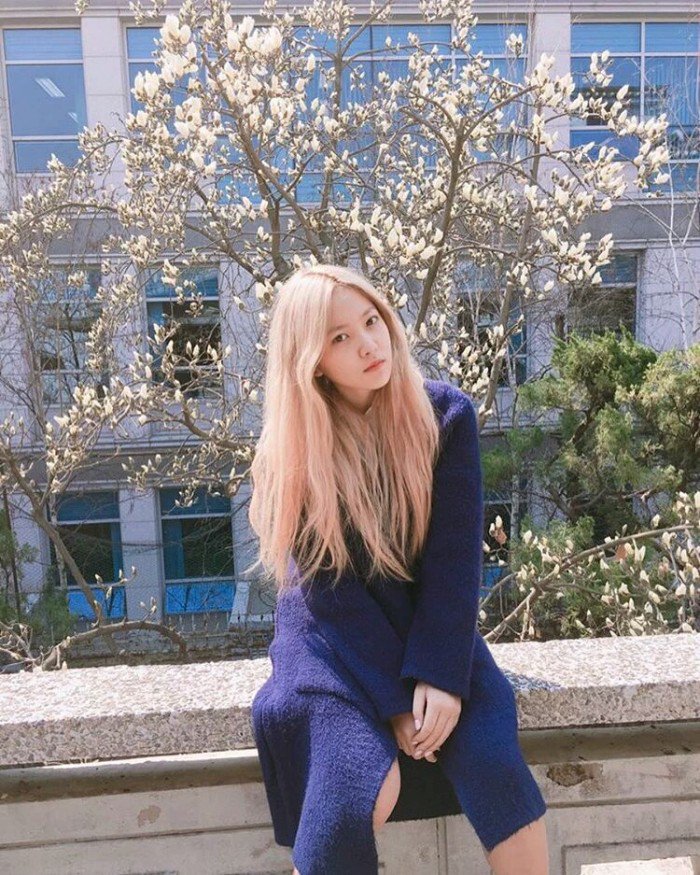 예리 5.jpg