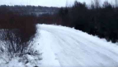 봉고 마스터.gif
