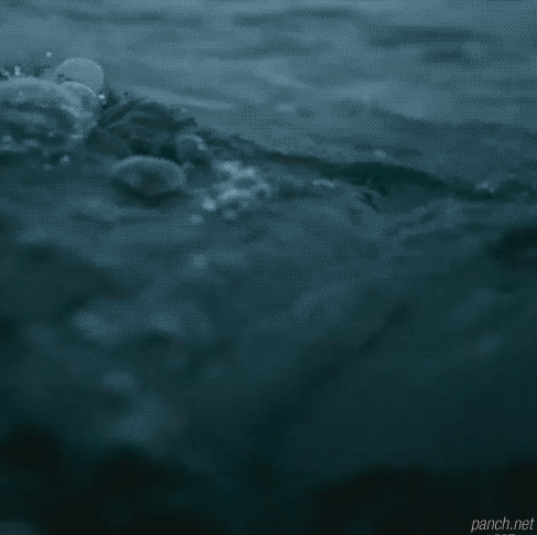 즐거운 바다 촬영.gif