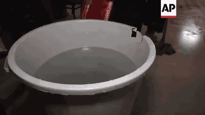 공포의 세례.gif