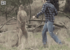 8fc1a528b45c85337cfe0b20a1546bc7_ApHckpgsz6U6B.gif