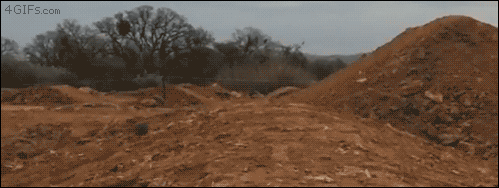 점프를 잘못한 멍멍이.gif
