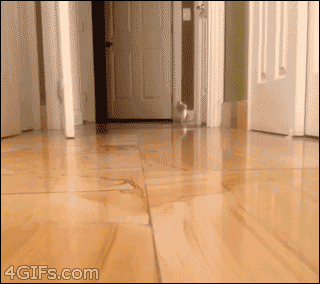 먼치킨 6.gif