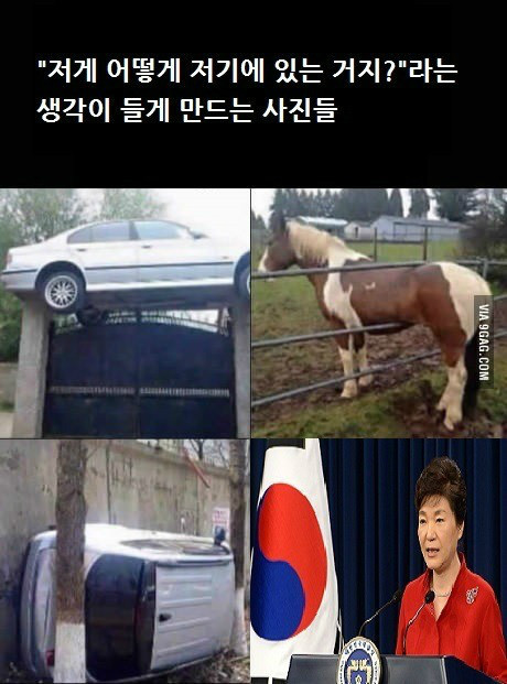 저게 어떻게 저기에 있지.jpg