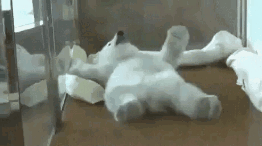 북극의 흉악한 포식자.gif