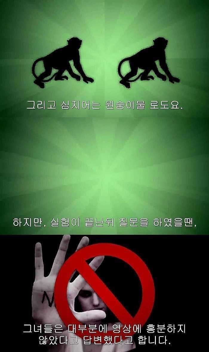 포르노를 볼 때 남녀의 차이 2.jpg