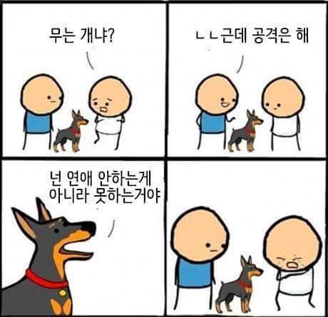 물진 않고 공격하는 개.jpg
