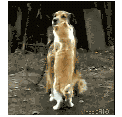 개매너...gif