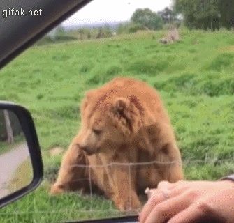 추석때 또 올게요.gif