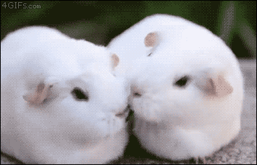 시무룩....gif