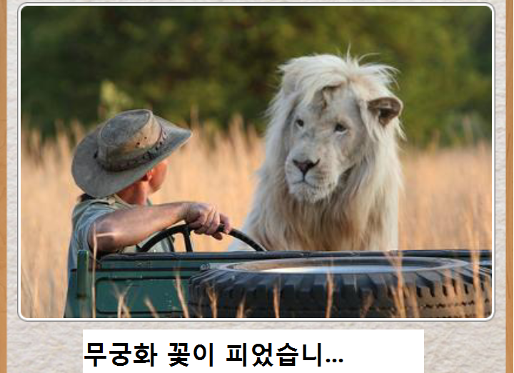 544157ecd919128d557cad08a328504e.png