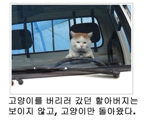 NaverBlog_20140816_094137_02.jpg