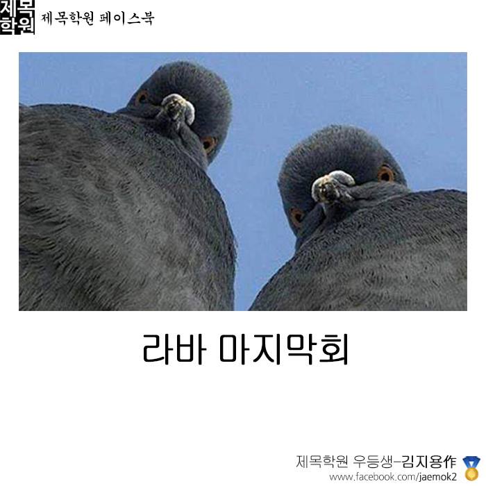 cb686fb8a2055b4feab7f52dc58e54cb.jpg