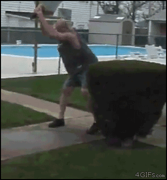 점핑콜라.gif