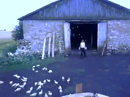 소환술사.gif