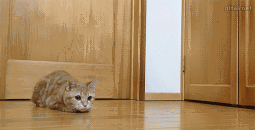 수문장.gif